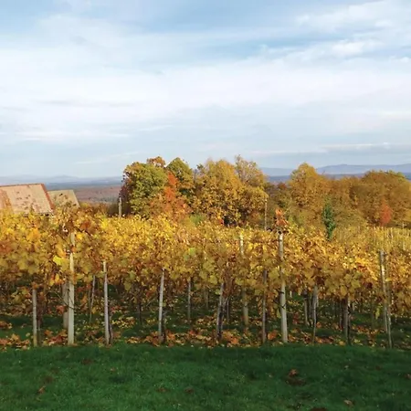 Vineyard Bahor - Happy